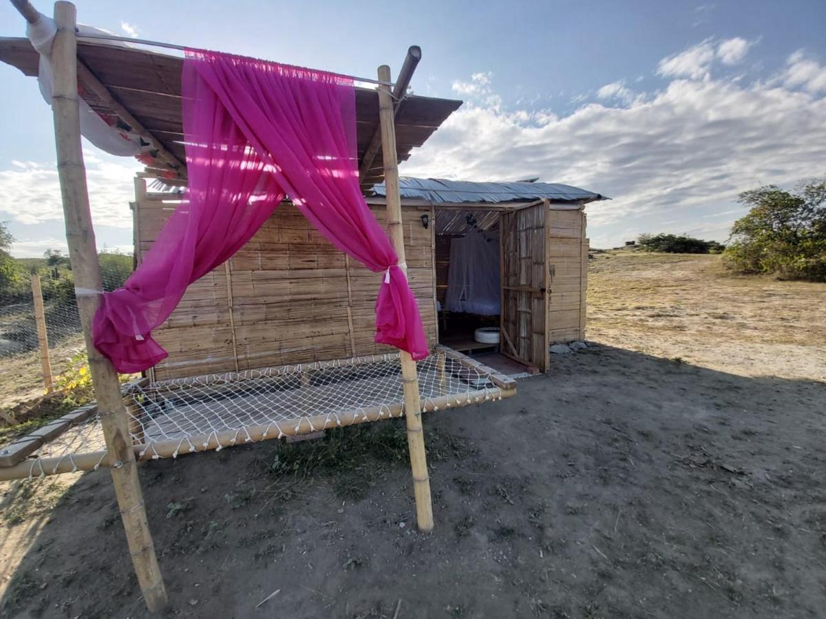 Biohotel Tatacoa Qji فيلافيجا المظهر الخارجي الصورة
