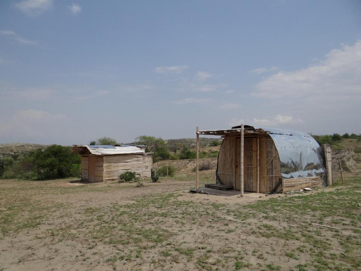 Biohotel Tatacoa Qji فيلافيجا المظهر الخارجي الصورة